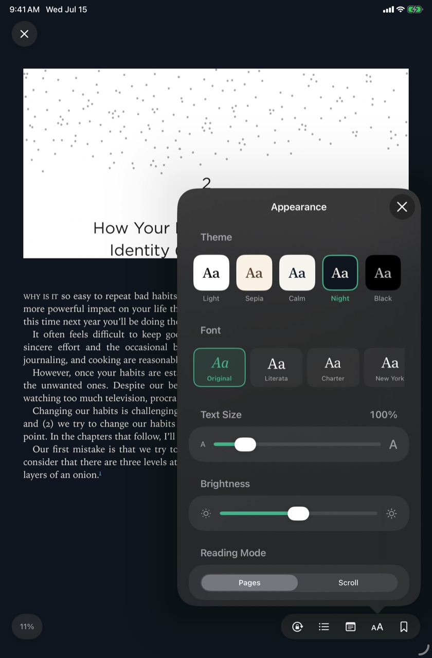 The reader on iPad with the appearance panel open: theme cards, font choices, text-size and brightness sliders.